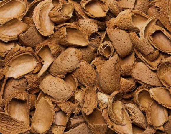 Cleaned dry walnut shell pieces before size reduction