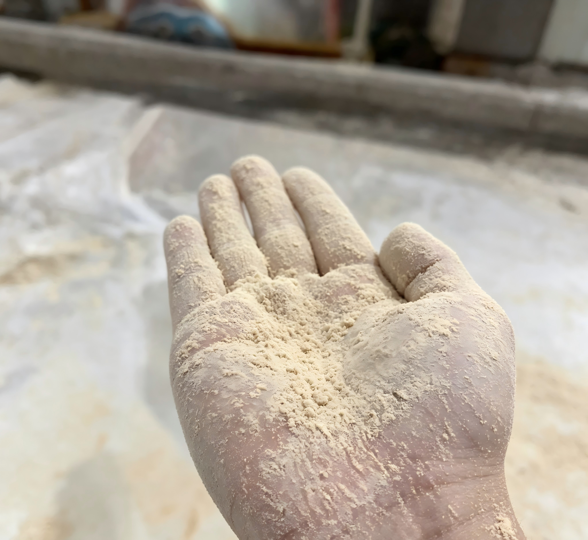 Fine pale chicken bone powder held after air classifier milling