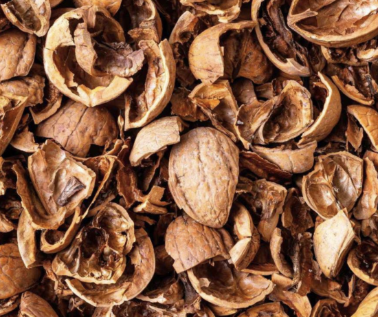 Mixed broken walnut shells used as grinding feedstock